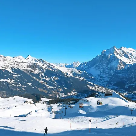 Apartamento Auf Dem Vogelstein-1 By Interhome Grindelwald