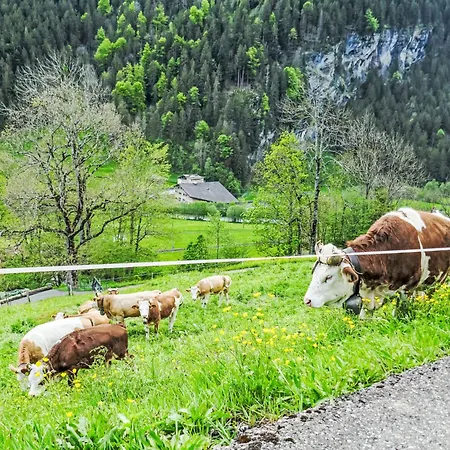 Auf Dem Vogelstein-1 By Interhome Apartment