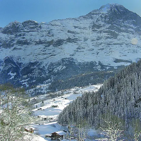 Apartment Auf Dem Vogelstein-1 By Interhome