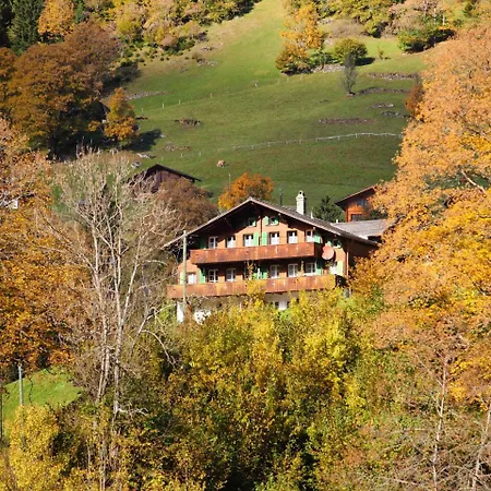 Auf Dem Vogelstein-1 By Interhome Grindelwald