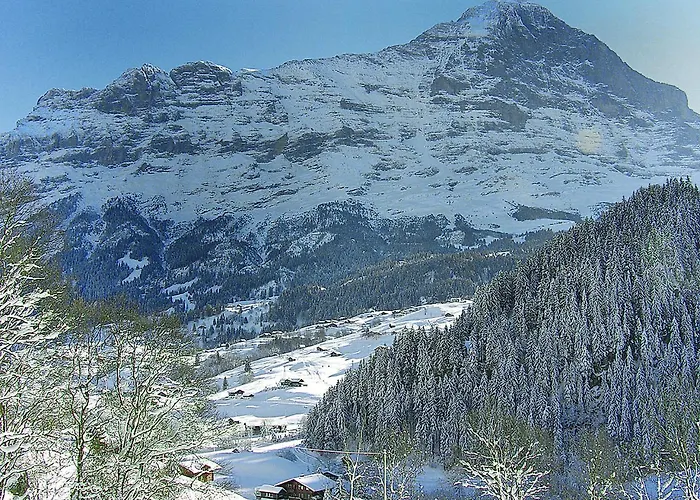 Lägenhet Auf Dem Vogelstein-1 By Interhome