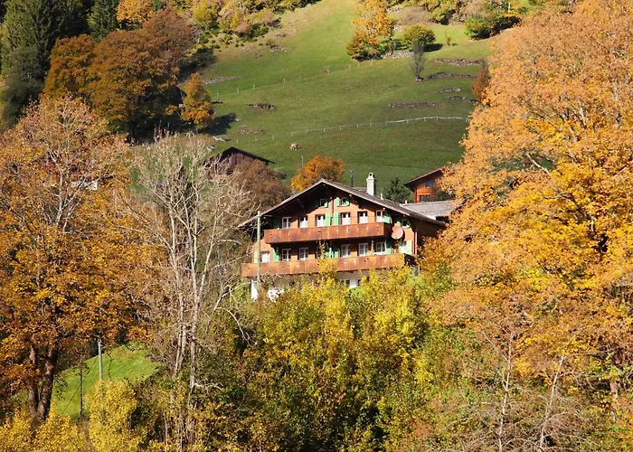 Auf Dem Vogelstein-1 By Interhome Grindelwald