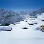Auf Dem Vogelstein-1 By Interhome Apartman Grindelwald