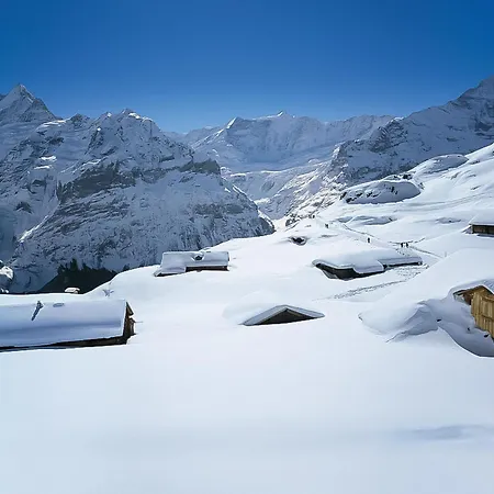 Auf Dem Vogelstein-1 By Interhome Apartment Grindelwald